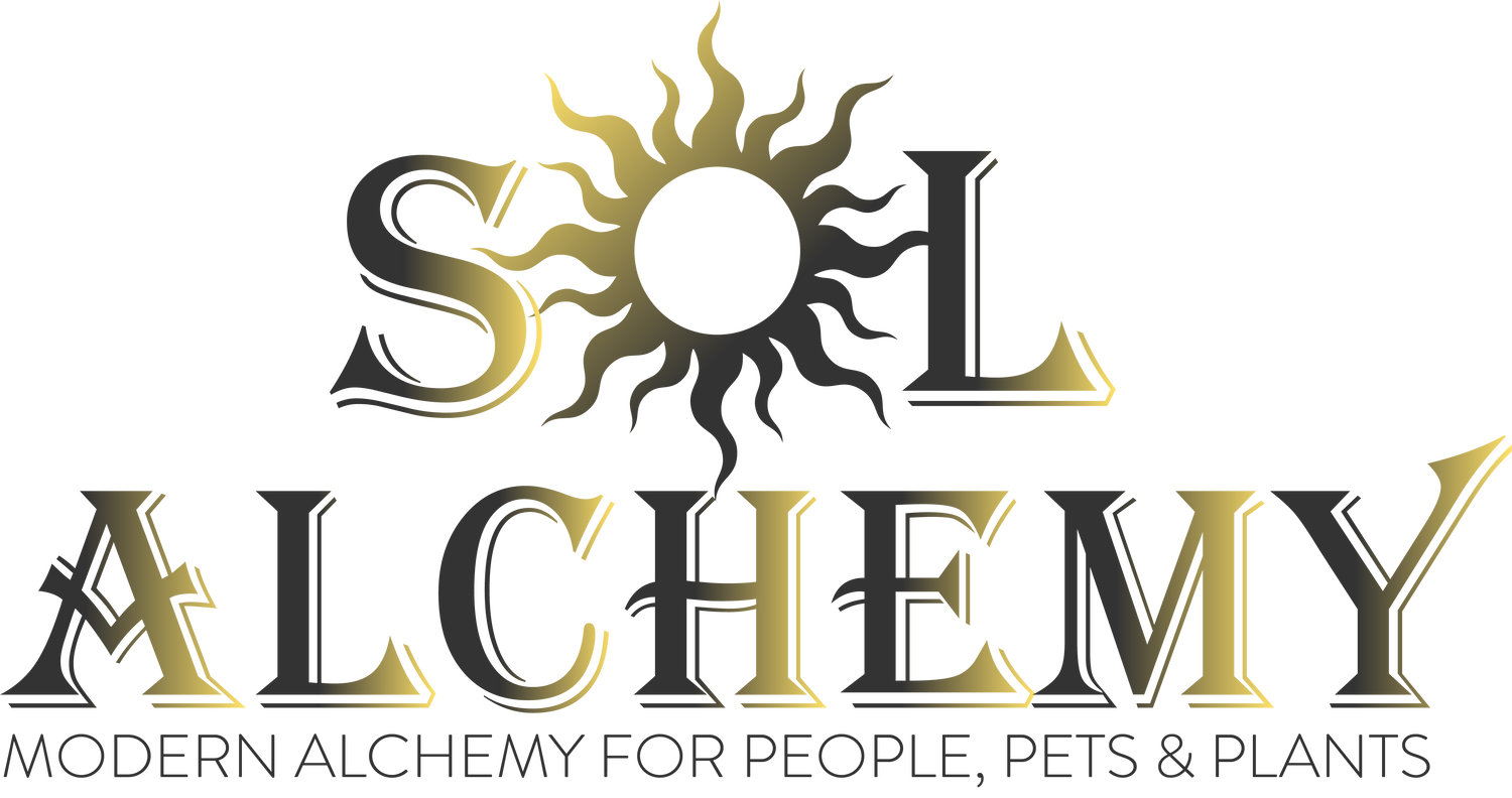 Featured: Sol Alchemy